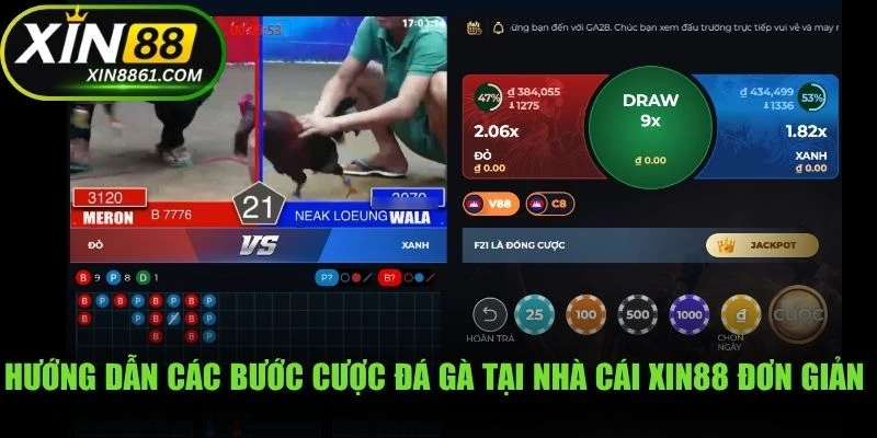 Hướng dẫn các bước cược đá gà tại nhà cái XIN88 đơn giản cho tân thủ
