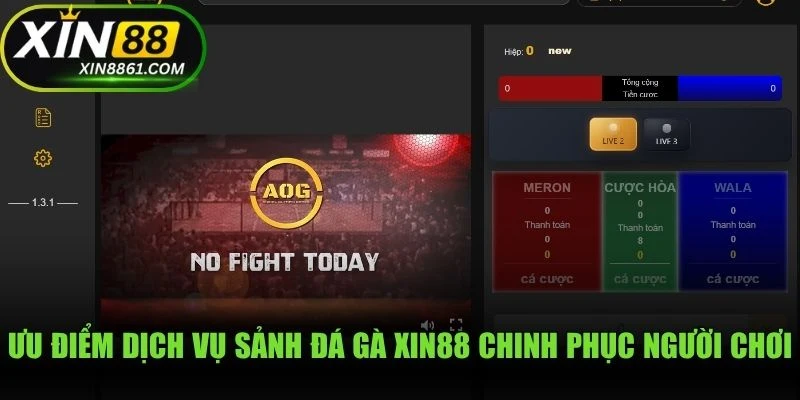 Ưu điểm dịch vụ sảnh đá gà XIN88 chinh phục người chơi