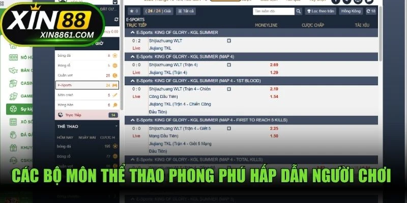 Các bộ môn thể thao phong phú hấp dẫn người chơi tham gia trải nghiệm